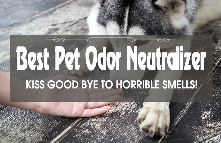 Kiss Good Bye To Horrible Smells! Best Pet Odor Neutralizer
