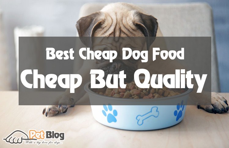 The Top 5 Best Cheap Dog Food with Good Quality!