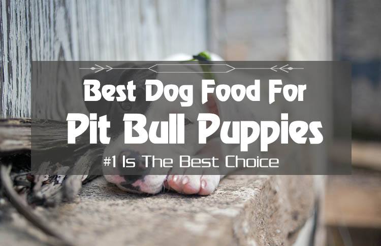 Top 5 Best Dog Food For Pitbull Puppies – The Healthiest Choices in 2023