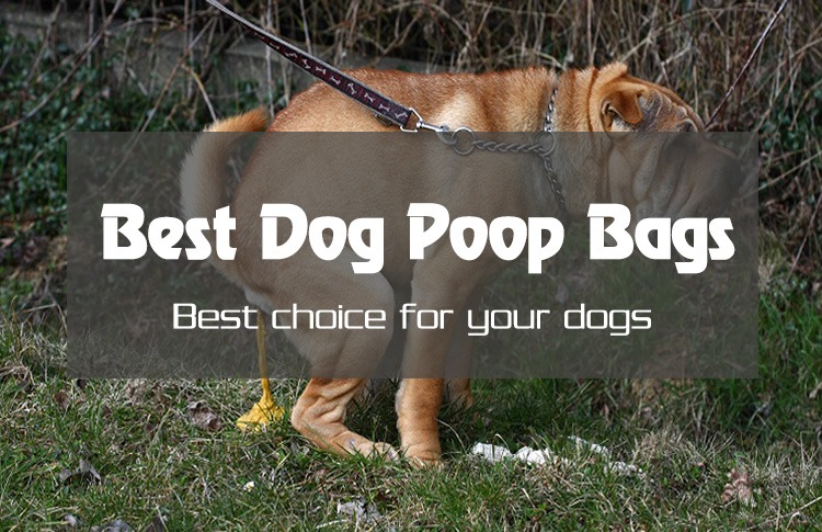 Top 5 The Best Dog Poop Bags You Need To Know