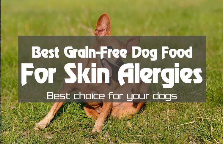 best-grain-free-dog-food-for-skin-allergies