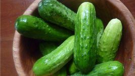 Can Dogs Eat Pickles? The Answer Will Surprise You!