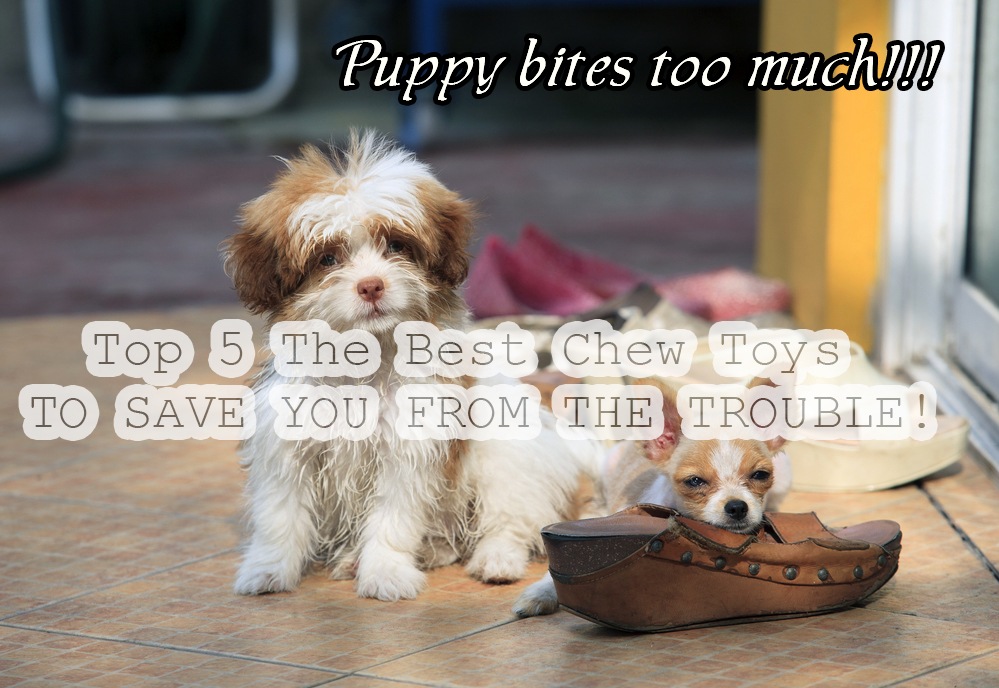 The 5 Best Chew Toys For Puppies To Save You From The Trouble!