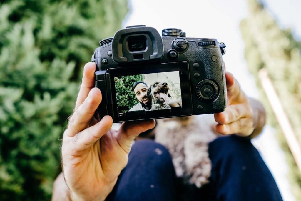 Canine Close-Ups: 9 Tips for Getting the Best Dog Portraits