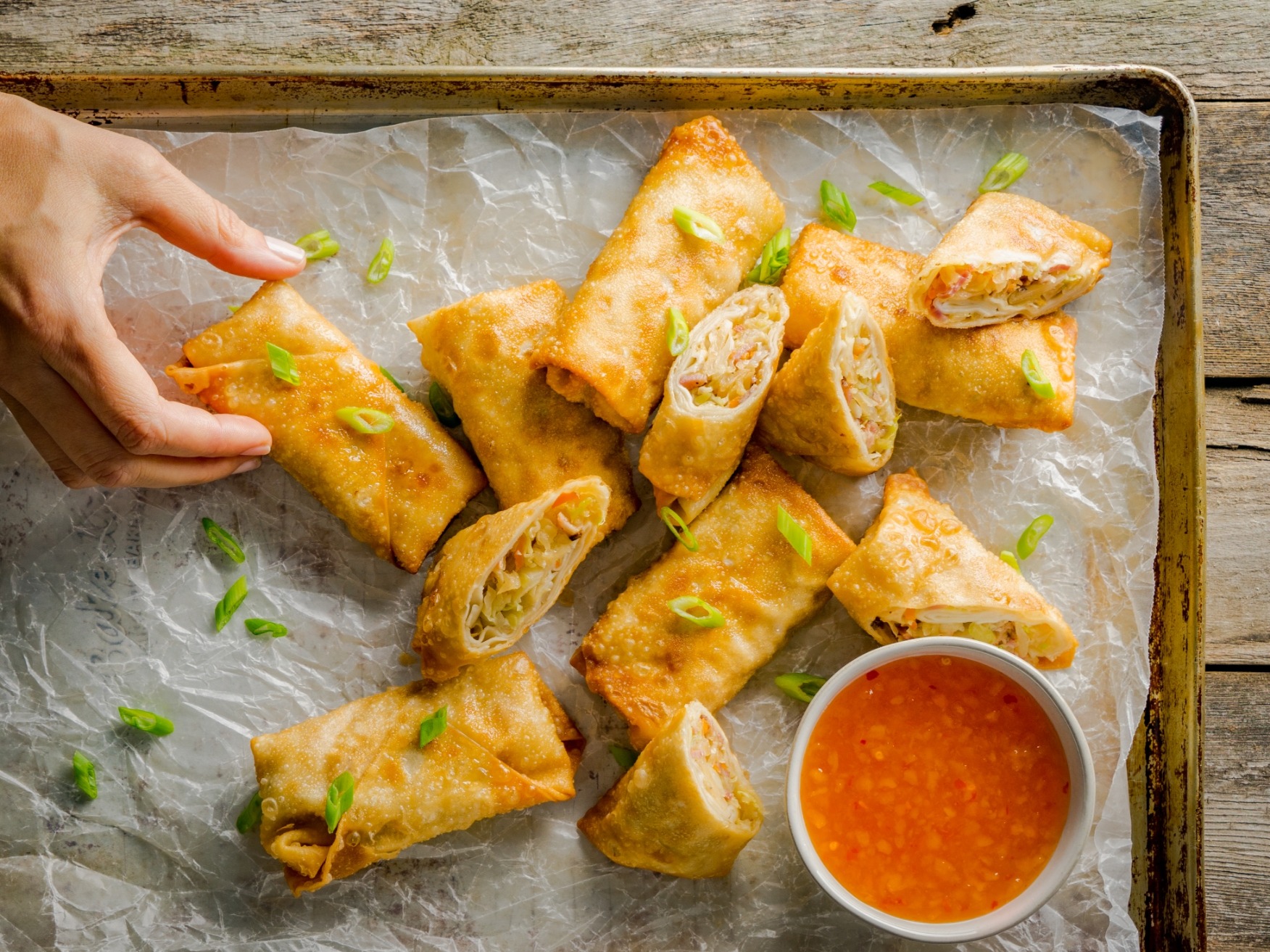 Can-Dogs-Eat-Egg-Rolls-3
