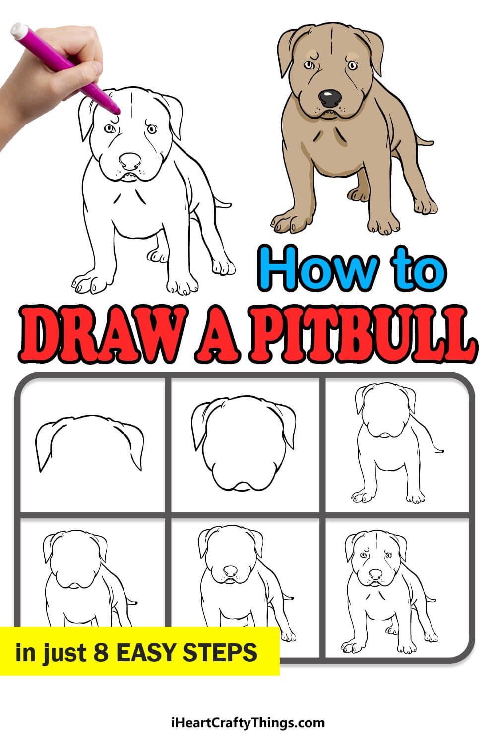 how-to-draw-a-pitbull-dog-3-1
