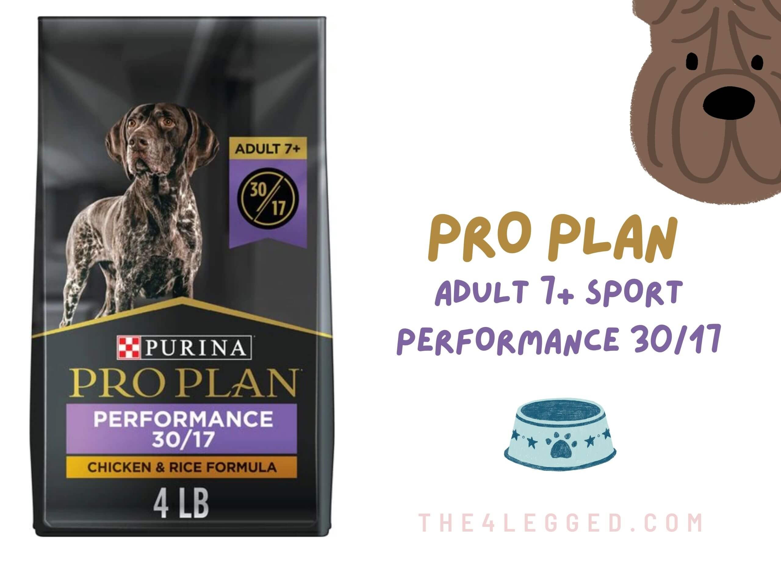 What-To-Feed-My-Pitbull-To-Gain-Muscle-15