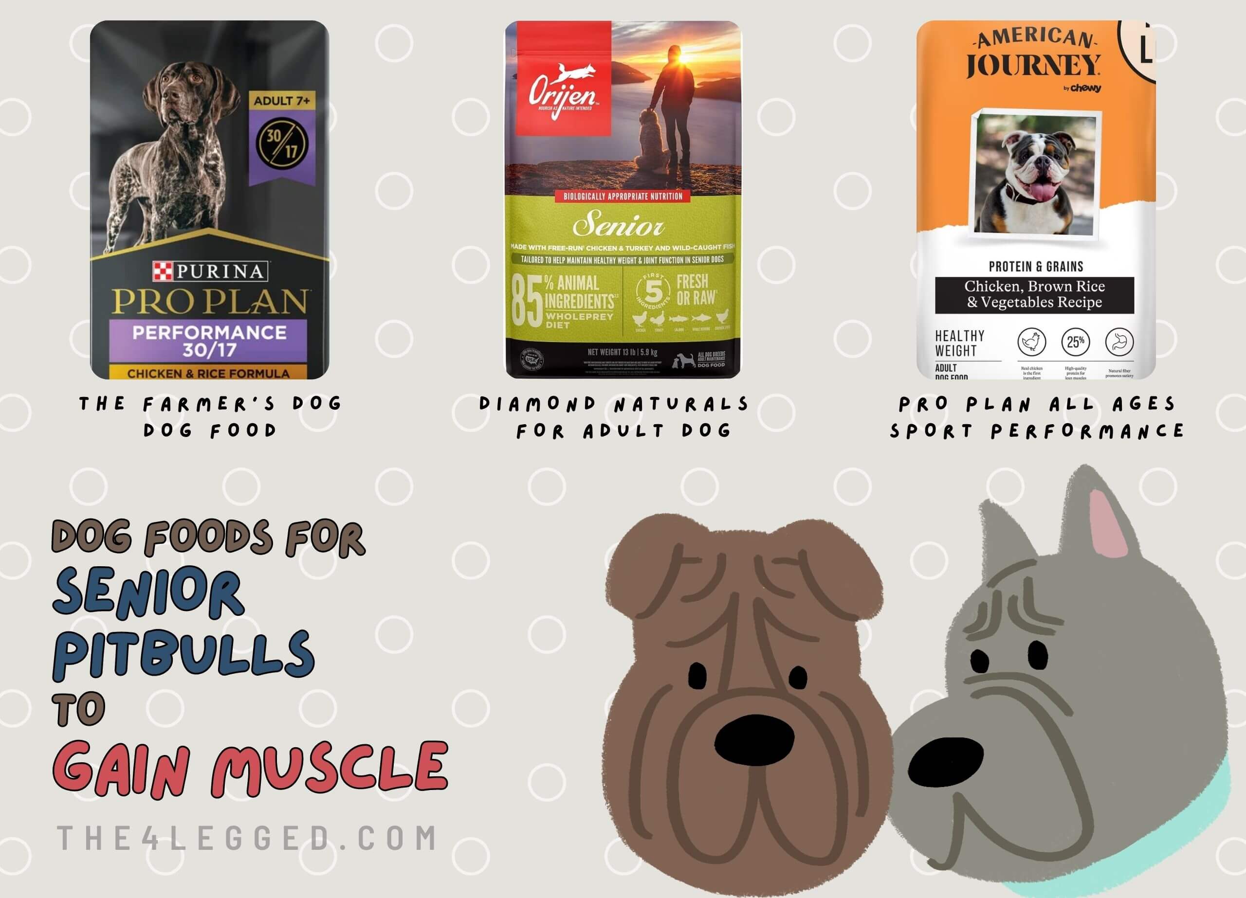 What-To-Feed-My-Pitbull-To-Gain-Muscle-19