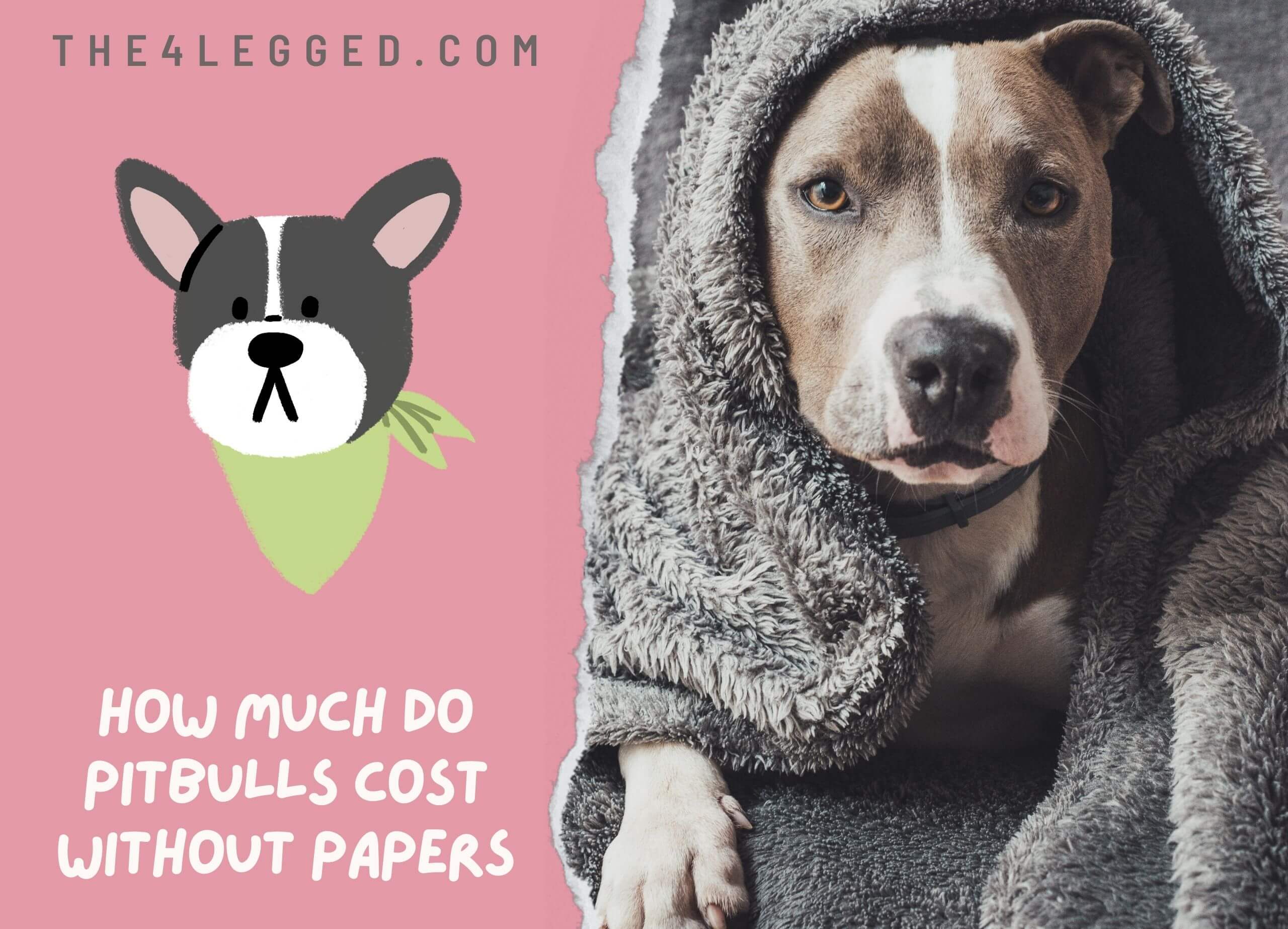 How-Much-Do-Pitbulls-Cost-Without-Papers-2